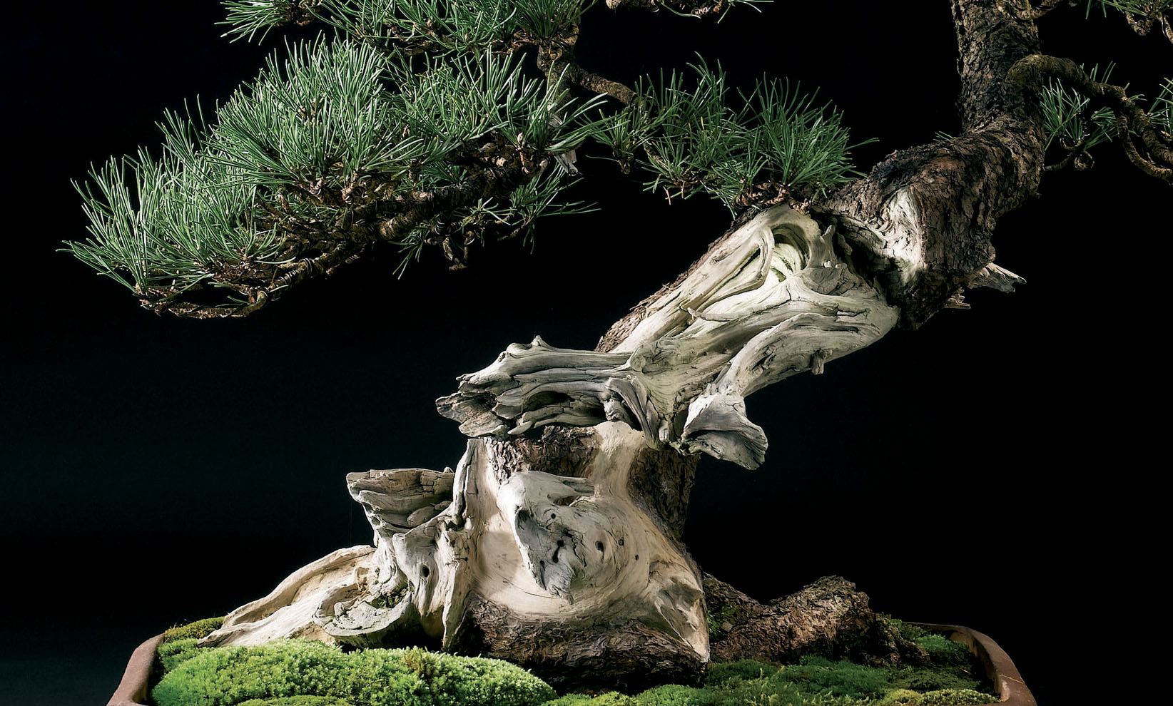 Accueil Jeker François