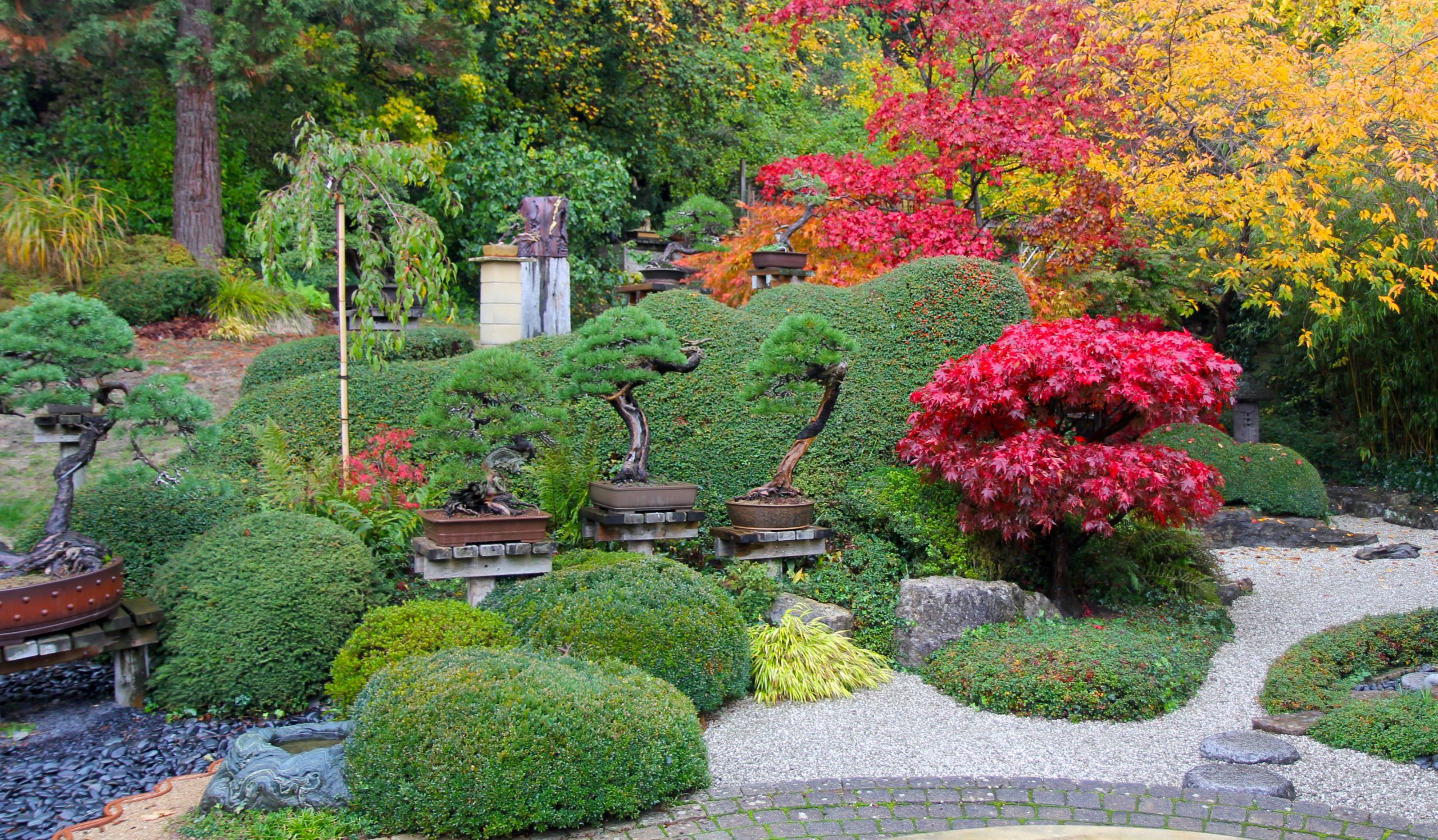 Accueil Jardin japonais François Jeker Alsace