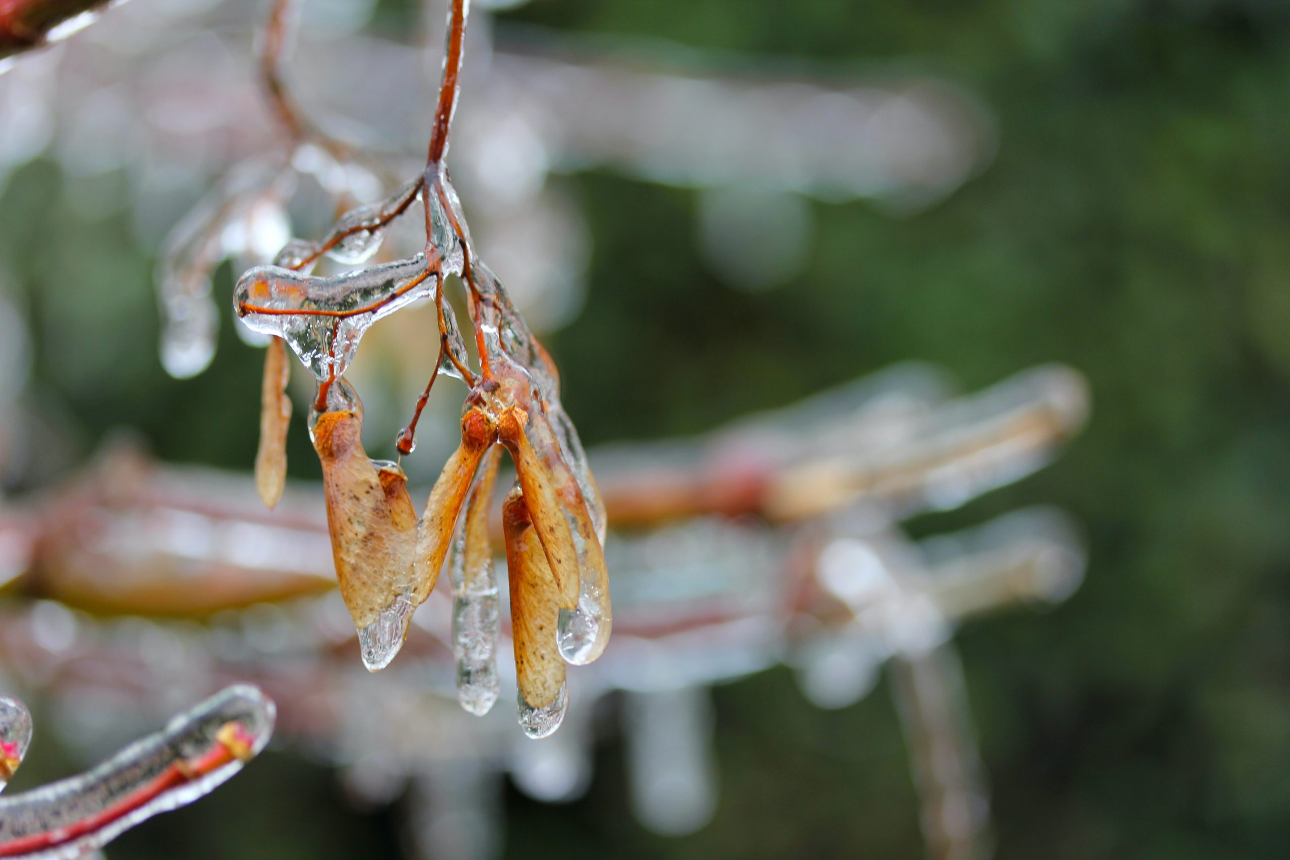 Accueil Jeker François