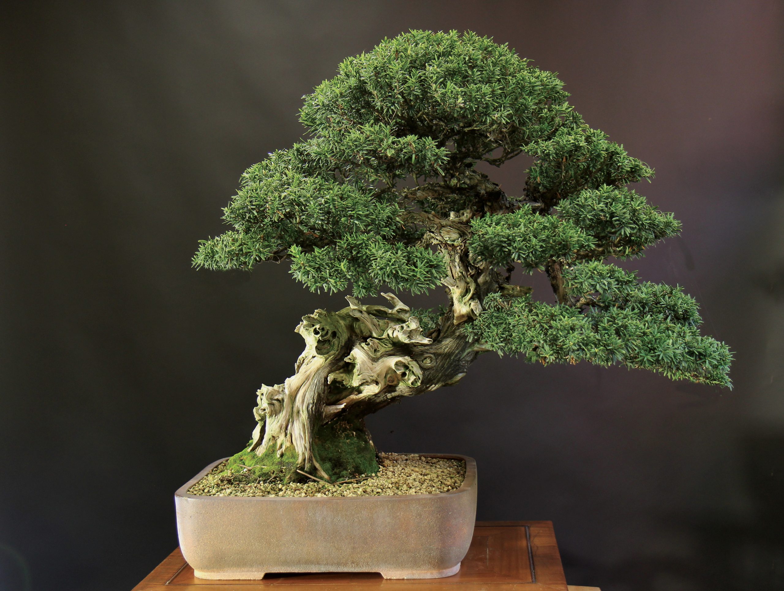 Accueil Jeker François